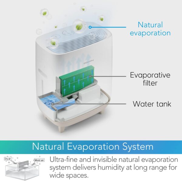 Unityj Uk Appliances COWAY Hue Healing 2 In 1 Air Purifier 5 104