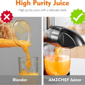 Unityj Uk Health AMZCHEF Cold Press Slow Juicer 2 413