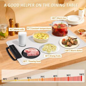 Unityj Uk Kitchen Appliances Food Warming Tray 3 1550