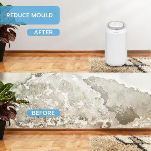 Unityj Uk Appliances Devology 12L Per Day Digital Dehumidifier 4 673