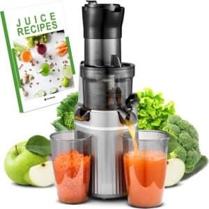 Unityj Uk Kitchen Appliances Aobosi Cold Press Slow Masticating Juicer 2100
